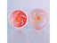 Creative Hamster Wheel Silent Rotatory Jogging Wheel Exercise Wheel Small Carousel 4