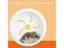 Creative Hamster Wheel Silent Rotatory Jogging Wheel Exercise Wheel Small Carousel 7
