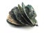 Camouflage Tactical Cap Boonie Hat Caps Camo Men Outdoor Sports Sun Bucket Cap Carousel 3