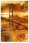 Golden Gate Artwork - Limited-Edition Print - 200mm x 300mm Carousel 1