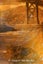 Golden Gate Artwork - Limited-Edition Print - 200mm x 300mm Carousel 2