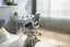 Sihoo M76 Ergonomic Office Chair (Light Gray) Carousel 9