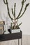 Plant Pot Stand New Carousel 8