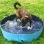 80x20cm Folding Paddling Pool PVC Pet Bathtub Dogs Cats Puppy Shower Swimming Po Carousel 7
