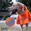 Dog Raincoat Waterproof Outdoor Rain Coat Jacket Coat Fleece Reflective Safe Carousel 5