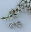 925 Sterling Silver Crystal Stud Earrings "Briar" (Crystal) Carousel 4