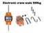 PTN NEW Crane Scales Sale Sale Carousel 3