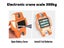 PTN NEW Crane Scales Sale Sale Carousel 11