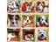 Animal Series Latch Hook Hand Knitted Embroidered Pillow Unfinished Embroidery Carousel 4