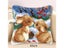 Animal Series Latch Hook Hand Knitted Embroidered Pillow Unfinished Embroidery Carousel 6