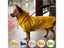 S-5XL Pets Small Dog Raincoats Reflective Small Large Dogs Rain Coat Waterproof Carousel 3