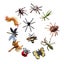 Loading Image 1 of 1