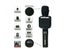 KARAOKE BLUETOOTH MICROPHONE Carousel 3