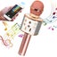 Portable Wireless Bluetooth USB Rechargeable Karaoke Microphone Carousel 3