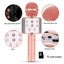 Portable Wireless Bluetooth USB Rechargeable Karaoke Microphone Carousel 7