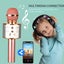 Portable Wireless Bluetooth USB Rechargeable Karaoke Microphone Carousel 11