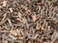 Ti (Tea) Tree Firewood (Kanuka/Manuka) Carousel 3