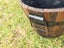 3-Piece Fir Barrel Planter Set - Burnt colour Carousel 4