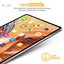 Screen Protector Nuglas Tempe Glass Crystal Clear Protection pro 12.9 2018 Carousel 6