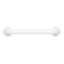 Evekare Exposed Flange Safety Grab Bathroom Wall Hand Rail Pull Bar 300mm SS WHT Carousel 3