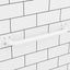 Evekare Exposed Flange Safety Grab Bathroom Wall Hand Rail Pull Bar 450mm SS WHT Carousel 6