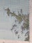 Vintage Bay of Islands Map Carousel 3