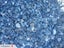 PAPATOETOE YARD - TOPSOIL / WHITE CHIP / SCORIA Carousel 7