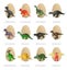 Easter Egg Dig up 12 Dinosaur Toys for Kids Dino Egg Dig Kit Carousel 7