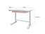 Height & Tilt Adjustable Kids Study Desk - Pink Carousel 7
