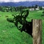 Funny Farm Metal Art Outdoor DA©cor-Goat Carousel 3