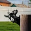 Funny Farm Metal Art Outdoor DA©cor-Goat Carousel 4