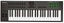 NEKTAR LX49+ 49 KEY Carousel 1