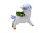 1X Unicorn Succulent Planter Pot Plant Pot Blue Carousel 1