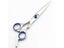 Hair Scissors Carousel 6