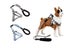 2X S Size Adjustable Pet Dog Harness with Leash Blue Grey Carousel 1