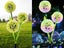 4X Solar Powered Dandelion Lights Patio Stake Walkway Lamp Outdoor Garden Decor Carousel 5