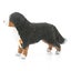 Schleich Bernese Mountain Dog Female Carousel 3