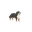 Schleich Bernese Mountain Dog Female Carousel 4