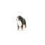 Schleich Bernese Mountain Dog Female Carousel 8