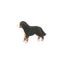 Schleich Bernese Mountain Dog Female Carousel 11