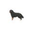 Schleich Bernese Mountain Dog Female Carousel 13