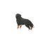 Schleich Bernese Mountain Dog Female Carousel 15