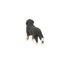 Schleich Bernese Mountain Dog Female Carousel 17