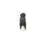 Schleich Bernese Mountain Dog Female Carousel 19