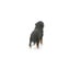 Schleich Bernese Mountain Dog Female Carousel 20