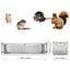 Animal Cage Mouse Trap Carousel 6