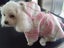 27/37cm 'Wool Plaid Coat' -Sml Dog Carousel 3