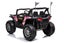 Ride on Car Buggy Carousel 3
