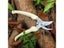 Pruning Shears Scissors Carousel 8