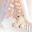 NEW 3M Cotton Ball Globe String Fairy LED Lights 20 LED Carousel 10